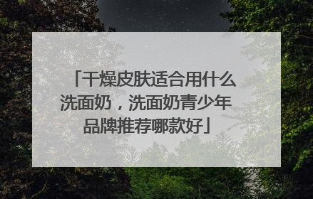 干燥皮肤适合用什么洗面奶，洗面奶青少年品牌推荐哪款好
