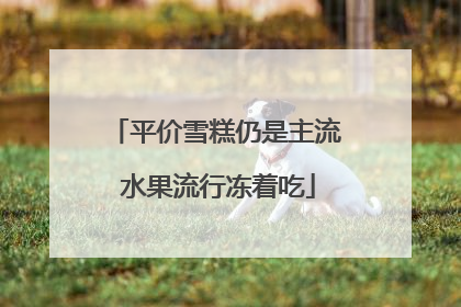 平价雪糕仍是主流 水果流行冻着吃
