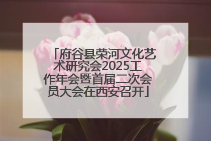府谷县荣河文化艺术研究会2025工作年会暨首届二次会员大会在西安召开
