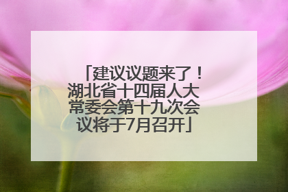 建议议题来了！湖北省十四届人大常委会第十九次会议将于7月召开