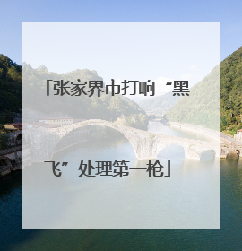 张家界市打响“黑飞”处理第一枪