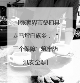 张家界市桑植县走马坪白族乡：“三个保障”筑牢防汛安全堤