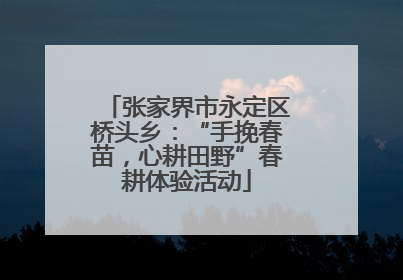 张家界市永定区桥头乡：“手挽春苗，心耕田野”春耕体验活动