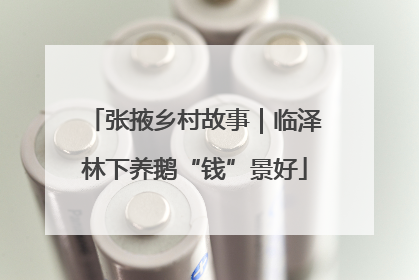 张掖乡村故事｜临泽林下养鹅“钱”景好