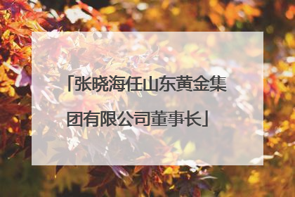 张晓海任山东黄金集团有限公司董事长