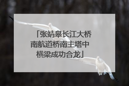 张靖皋长江大桥南航道桥南主塔中横梁成功合龙