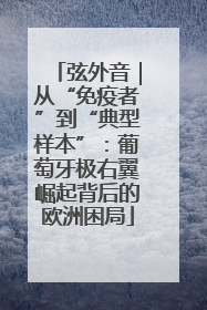弦外音｜从“免疫者”到“典型样本”：葡萄牙极右翼崛起背后的欧洲困局
