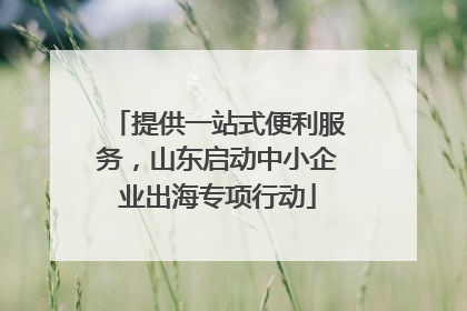 提供一站式便利服务，山东启动中小企业出海专项行动