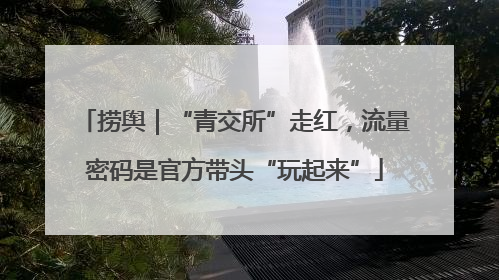 捞舆｜“青交所”走红，流量密码是官方带头“玩起来”