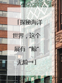 探秘海洋世界，这个展有“鲸”无险→