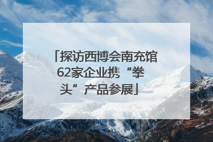 探访西博会南充馆 62家企业携“拳头”产品参展