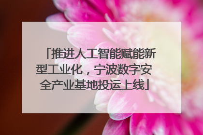 推进人工智能赋能新型工业化，宁波数字安全产业基地投运上线