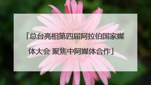 总台亮相第四届阿拉伯国家媒体大会 聚焦中阿媒体合作