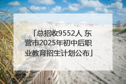 总招收9552人 东营市2025年初中后职业教育招生计划公布