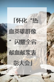 怀化“热血英雄群像”闪耀全省献血献浆表彰大会