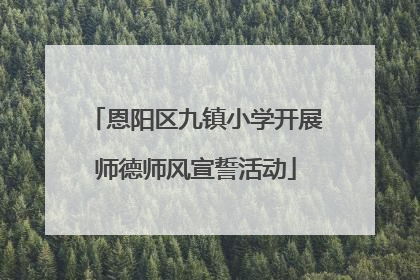 恩阳区九镇小学开展师德师风宣誓活动