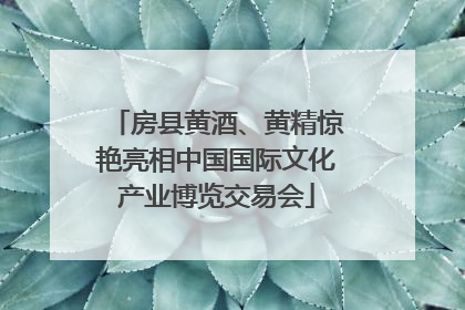 房县黄酒、黄精惊艳亮相中国国际文化产业博览交易会