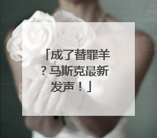 成了替罪羊？马斯克最新发声！