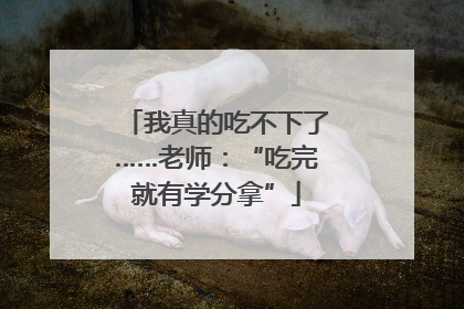 我真的吃不下了……老师：“吃完就有学分拿”