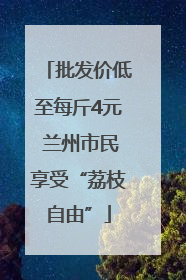 批发价低至每斤4元 兰州市民享受“荔枝自由”