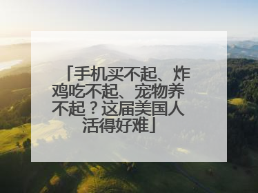 手机买不起、炸鸡吃不起、宠物养不起？这届美国人活得好难