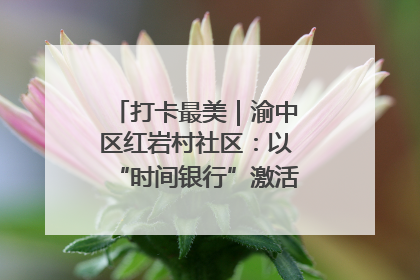 打卡最美｜渝中区红岩村社区：以“时间银行”激活垃圾分类新动能