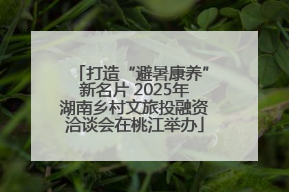 打造“避暑康养”新名片 2025年湖南乡村文旅投融资洽谈会在桃江举办