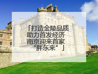 打造金陵品质 助力首发经济 南京迎来首家“胖东来”