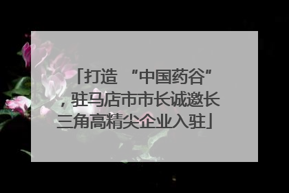 打造 “中国药谷”，驻马店市市长诚邀长三角高精尖企业入驻