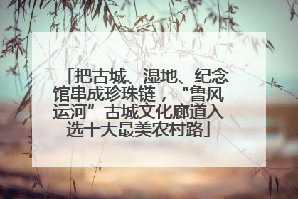 把古城、湿地、纪念馆串成珍珠链，“鲁风运河”古城文化廊道入选十大最美农村路