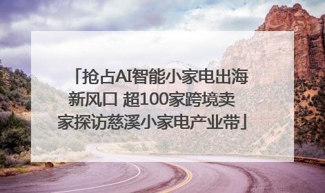 抢占AI智能小家电出海新风口 超100家跨境卖家探访慈溪小家电产业带