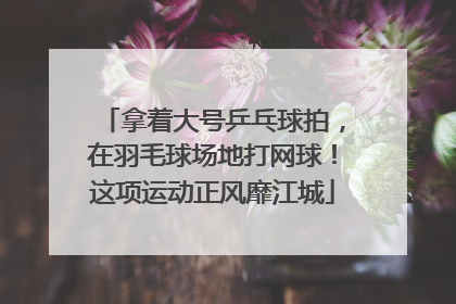 拿着大号乒乓球拍，在羽毛球场地打网球！这项运动正风靡江城