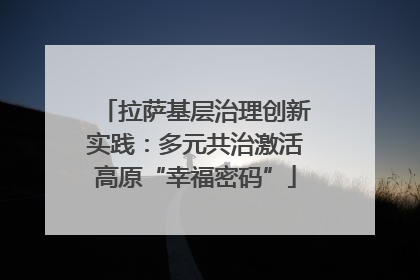 拉萨基层治理创新实践：多元共治激活高原“幸福密码”
