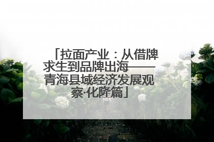 拉面产业：从借牌求生到品牌出海——青海县域经济发展观察·化隆篇
