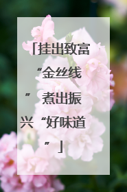 挂出致富 “金丝线” 煮出振兴“好味道”