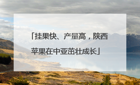 挂果快、产量高，陕西苹果在中亚茁壮成长