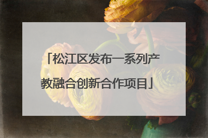 松江区发布一系列产教融合创新合作项目