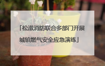 松滋消防联合多部门开展城镇燃气安全应急演练