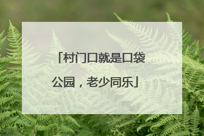 村门口就是口袋公园，老少同乐