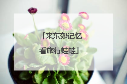 来东郊记忆 看旅行蛙蛙
