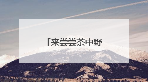 来尝尝茶中野味吧！庆元荒野茶推介会举行