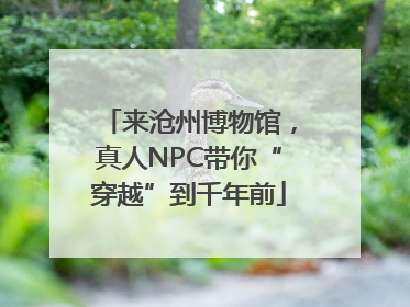 来沧州博物馆，真人NPC带你“穿越”到千年前