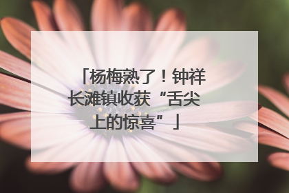 杨梅熟了！钟祥长滩镇收获“舌尖上的惊喜”