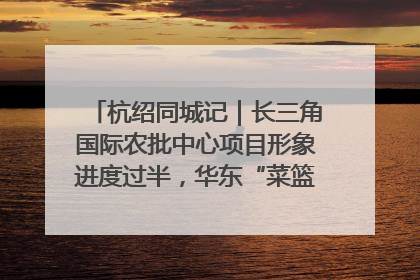 杭绍同城记｜长三角国际农批中心项目形象进度过半，华东“菜篮子”建设加码提速！
