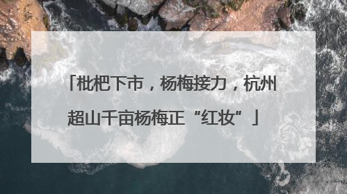枇杷下市，杨梅接力，杭州超山千亩杨梅正“红妆”
