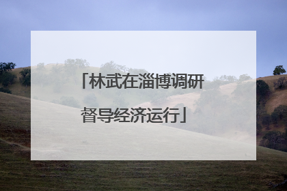 林武在淄博调研督导经济运行