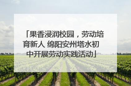 果香浸润校园，劳动培育新人 绵阳安州塔水初中开展劳动实践活动