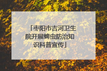 枣阳市吉河卫生院开展蜱虫防治知识科普宣传