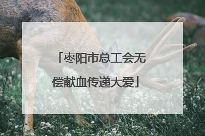 枣阳市总工会无偿献血传递大爱