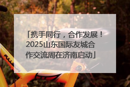 携手同行，合作发展！2025山东国际友城合作交流周在济南启动
